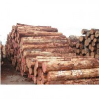 桂林收购松木企业一览表