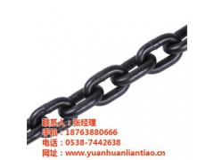 起重链条,起重链条供应商,泰安鑫洲机械公司