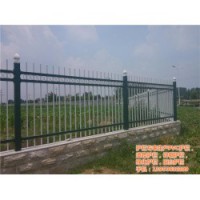 山东塑钢护栏(图)|市政道路中间公路围栏|临