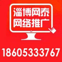 淄博网泰科技(图)|滨州网络推广哪家专业|滨
